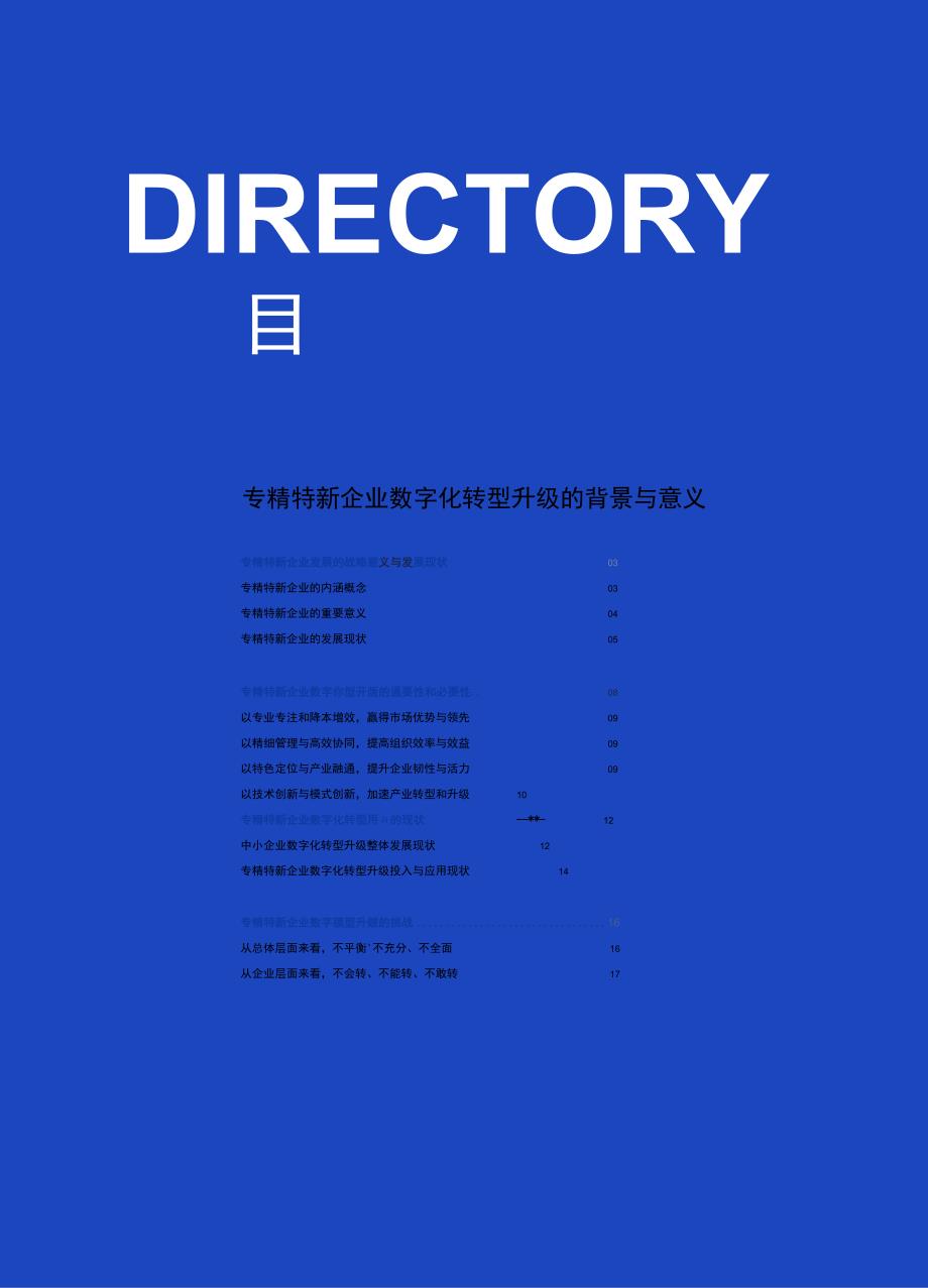 专精特新企业数字化转型升级研究报告.docx_第1页