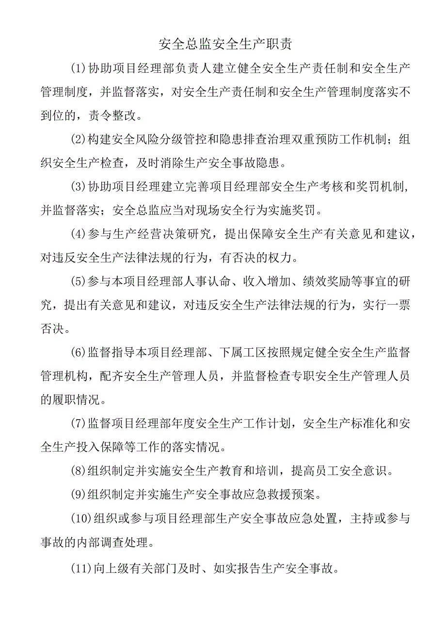 安全总监安全生产职责.docx_第1页