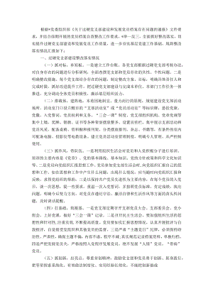 国有企业关于过硬党支部建设和发展党员档案整改落实情况的报告.docx