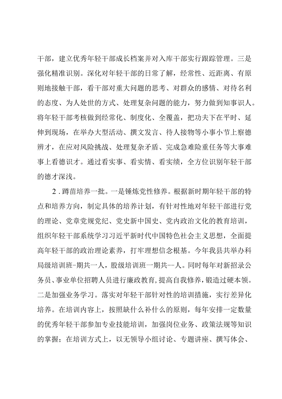 县实施新时代年轻干部成长工程情况汇报.docx_第2页