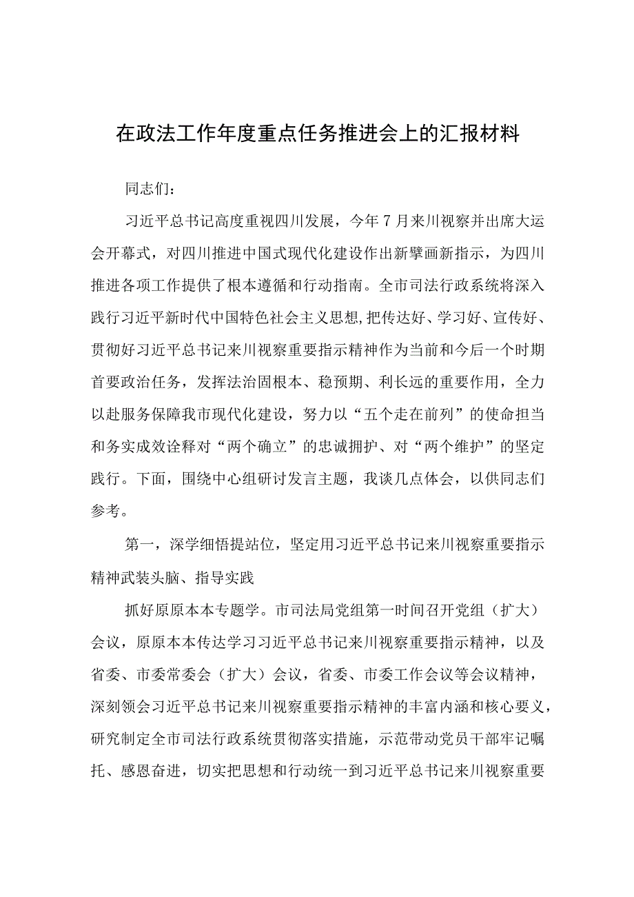 在政法工作年度重点任务推进会上的汇报材料.docx_第1页