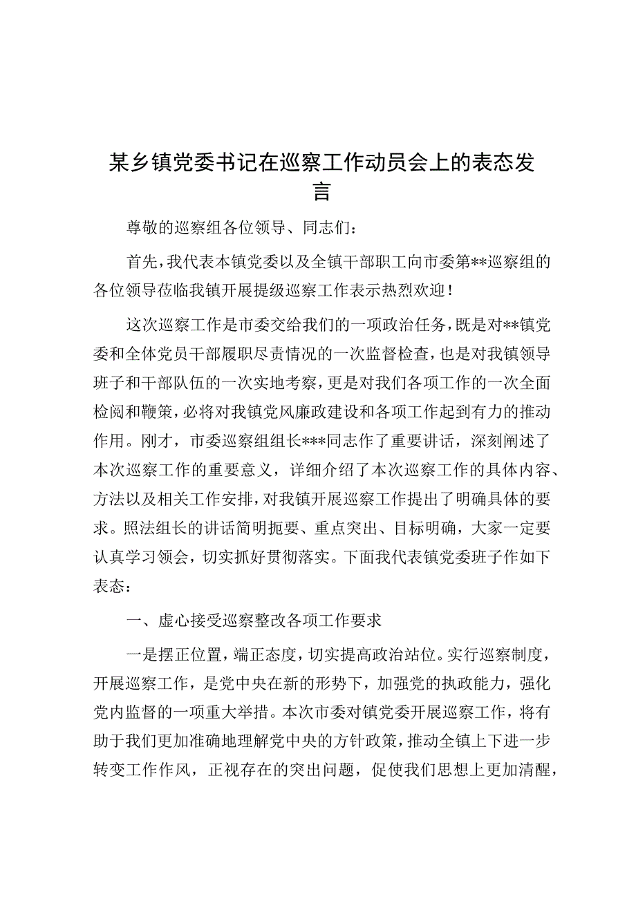 在巡察工作动员会上的表态发言（乡镇党委书记）.docx_第1页