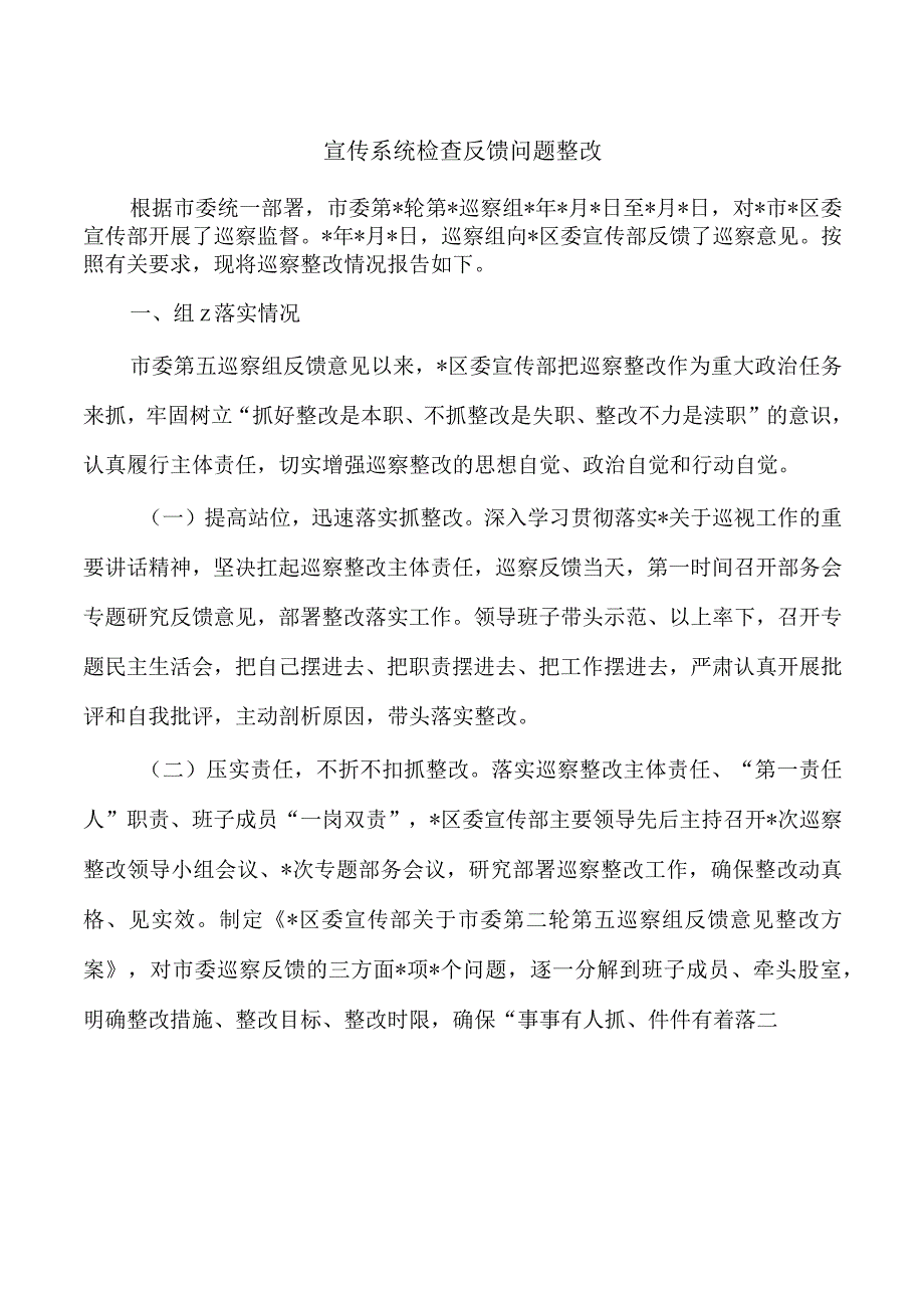 宣传系统检查反馈问题整改.docx_第1页