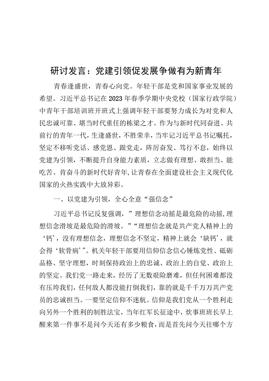 研讨发言：党建引领促发展 争做有为新青年.docx_第1页